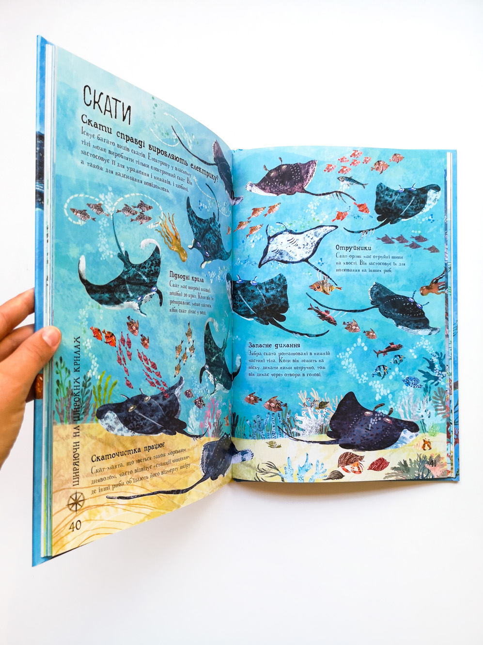 Велика книга морів - Image 4