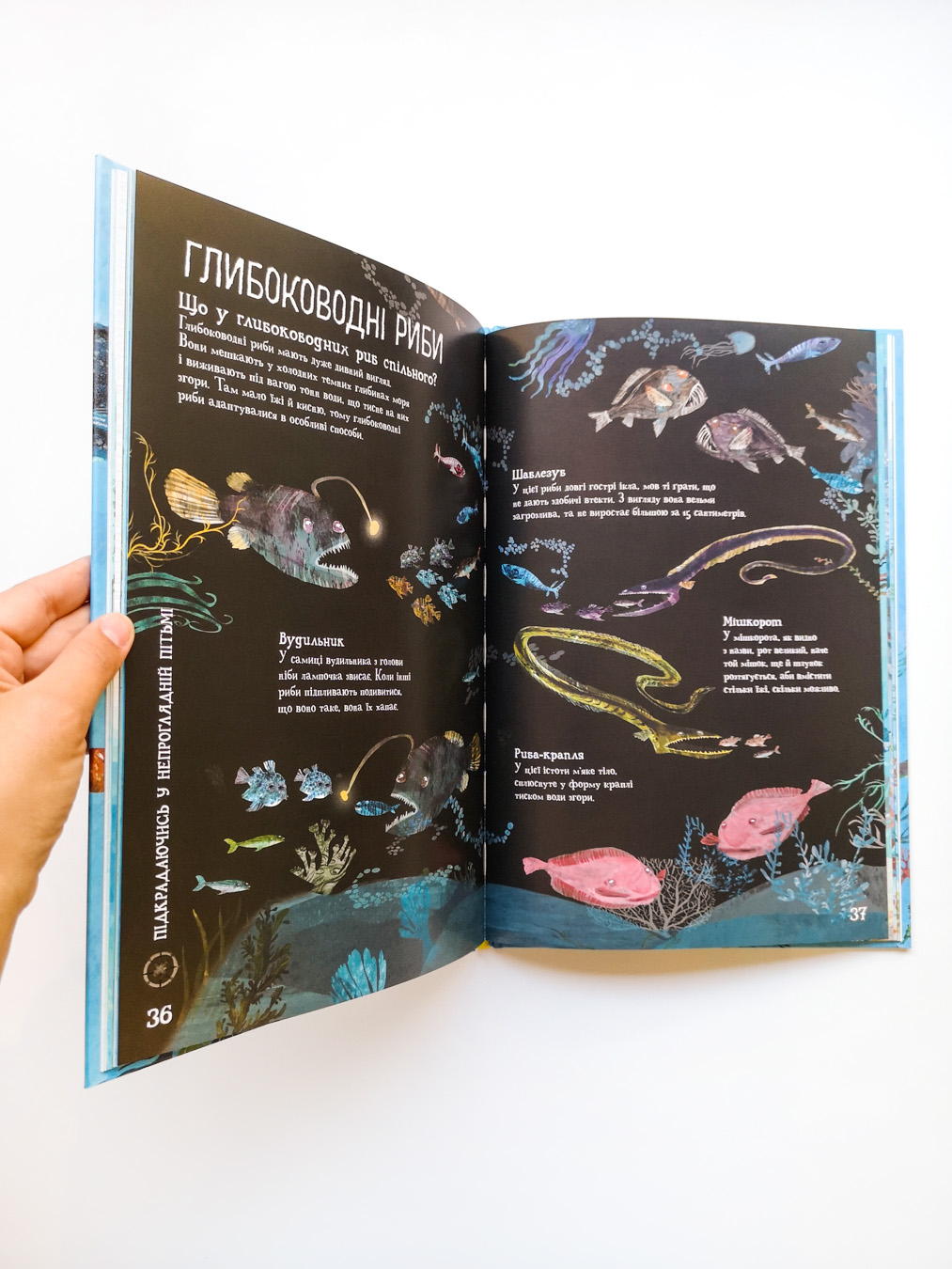 Велика книга морів - Image 3