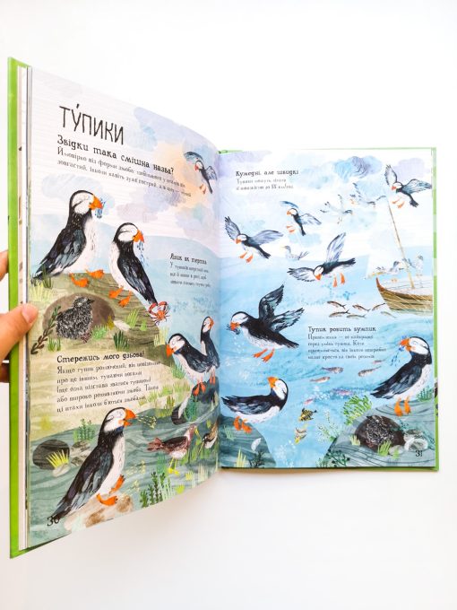 Велика книга птахів - Image 3