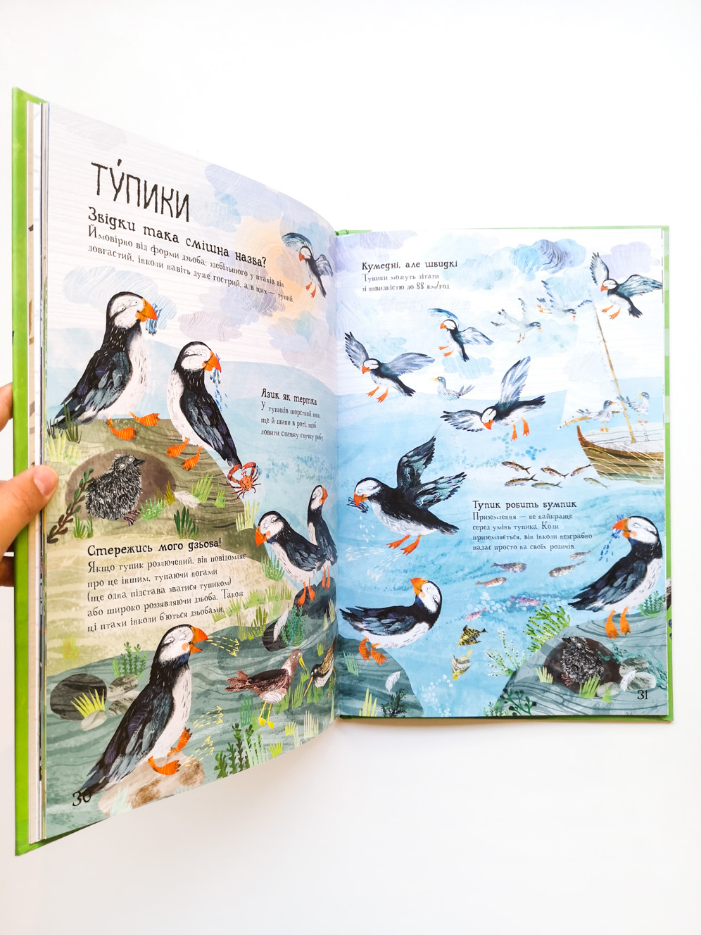 Велика книга птахів - Image 3