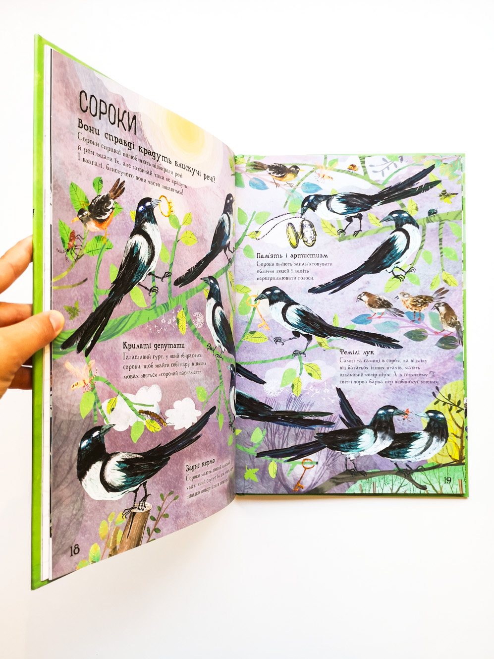 Велика книга птахів - Image 4