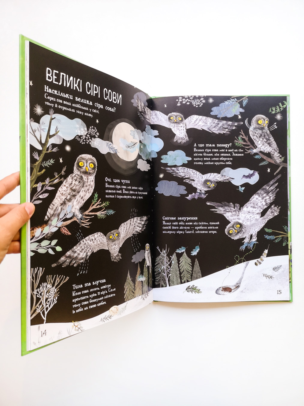 Велика книга птахів - Image 5