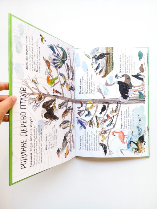 Велика книга птахів - Image 6