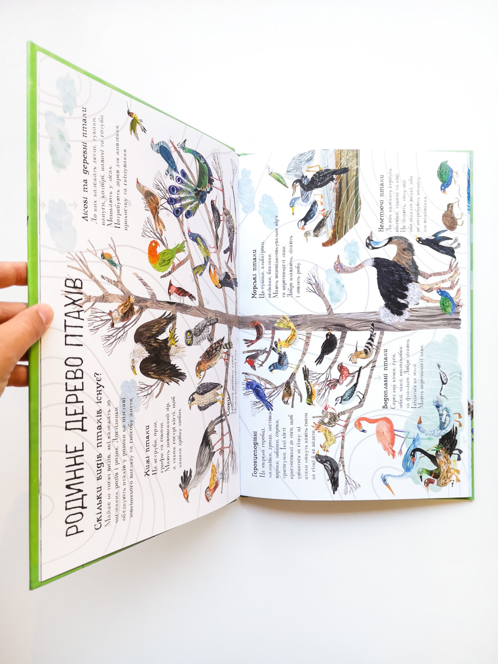 Велика книга птахів - Image 6