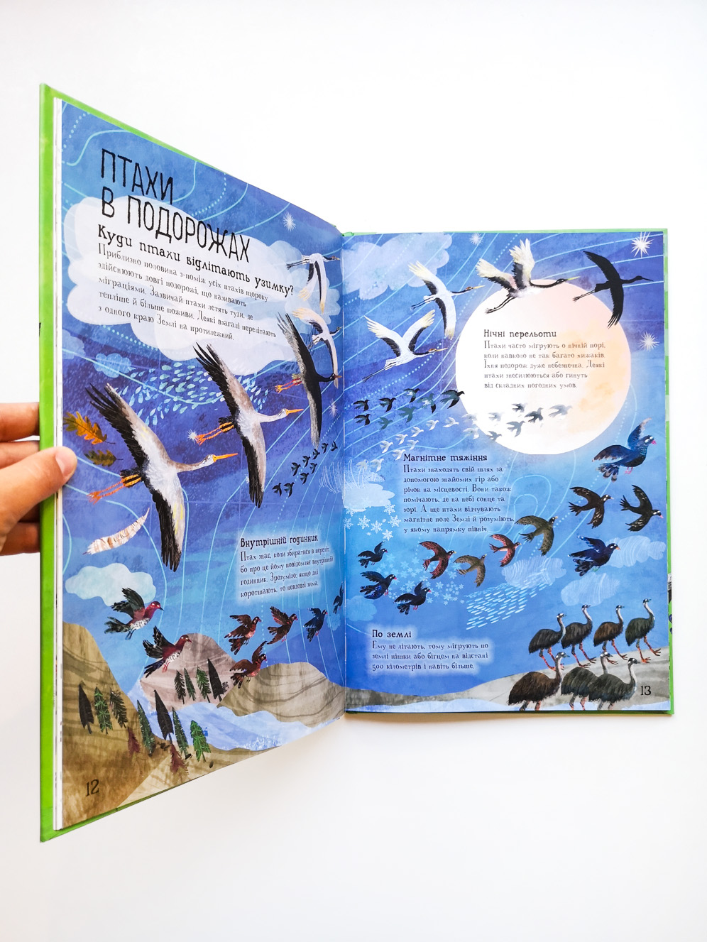 Велика книга птахів - Image 7