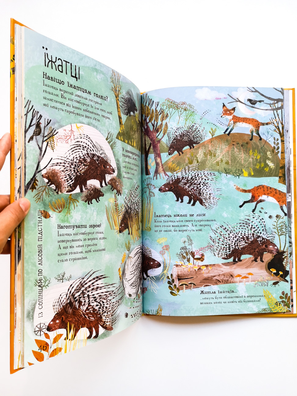Велика книга звірів - Image 3