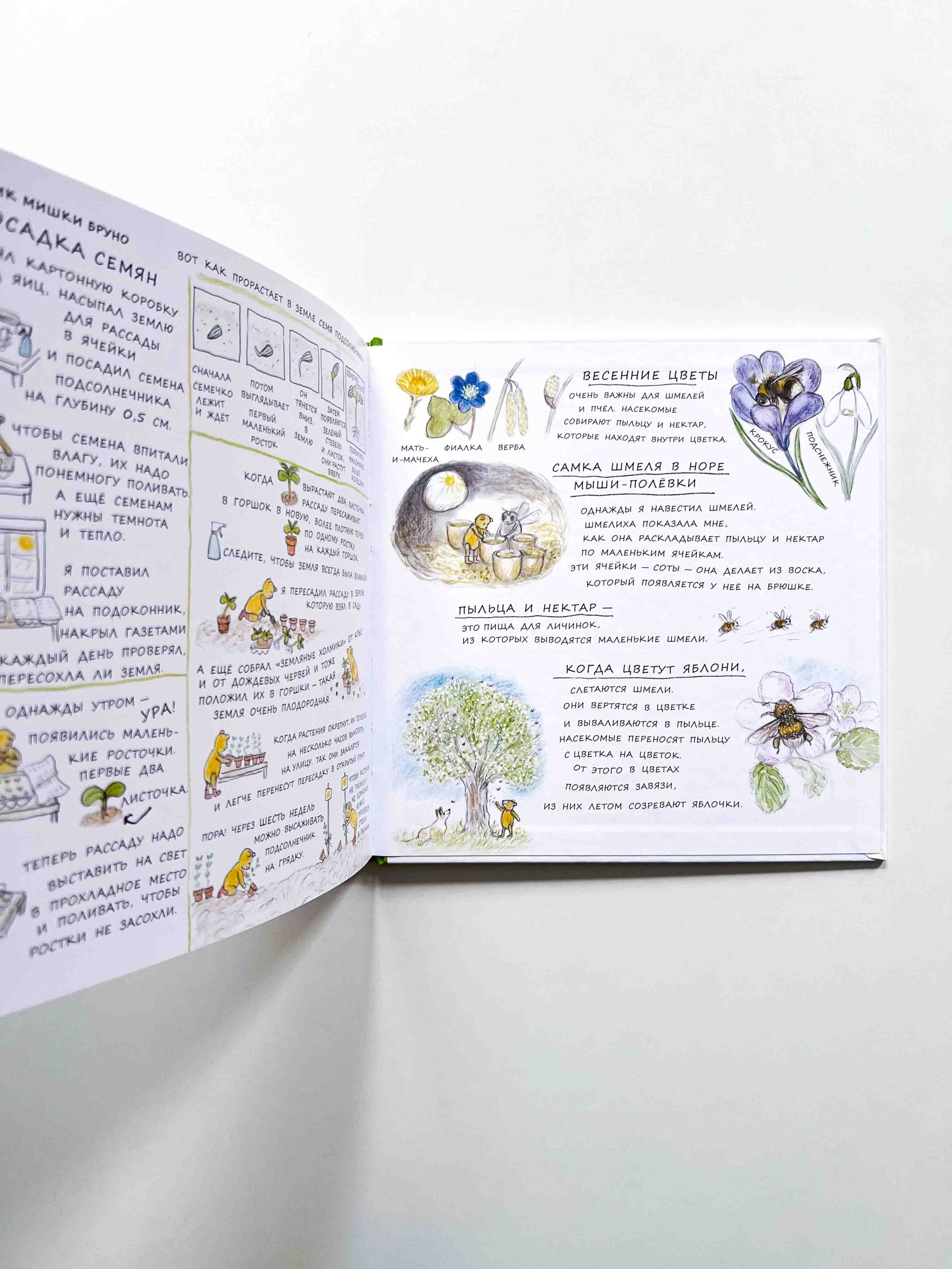 Весна мишки Бруно - Image 2