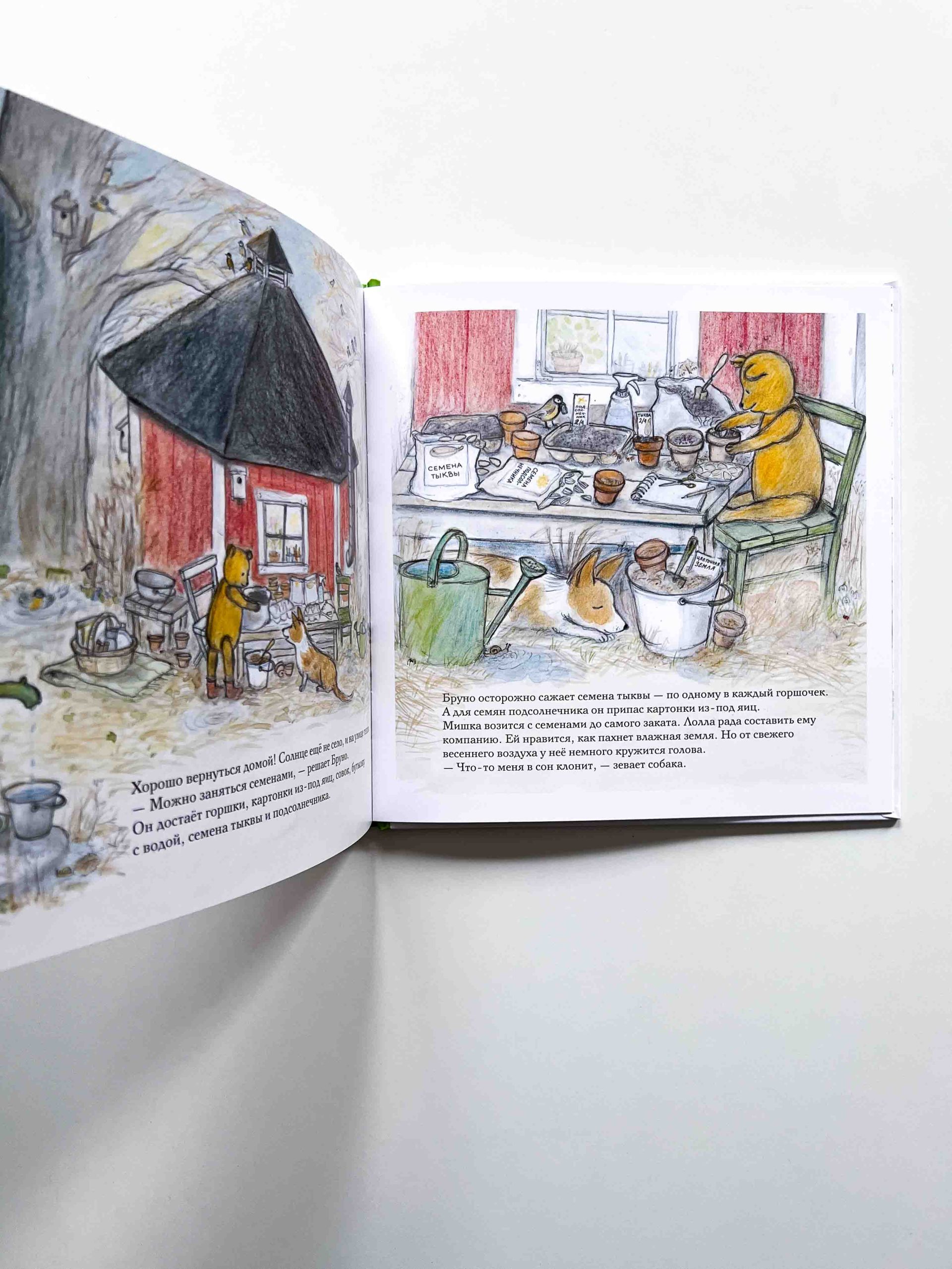 Весна мишки Бруно - Image 3