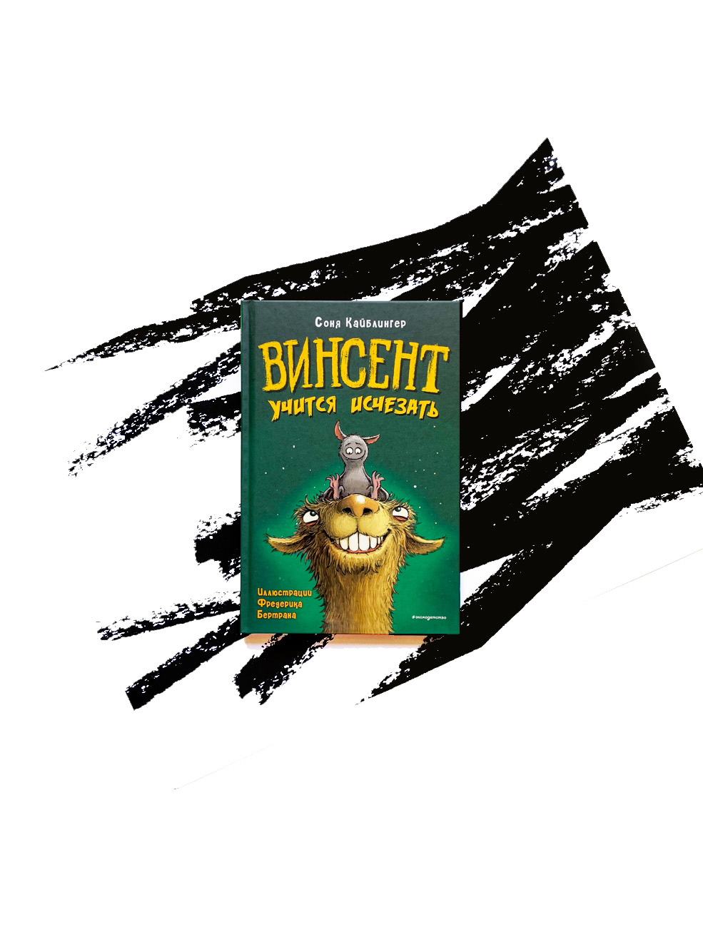 Винсент учится исчезать (2)