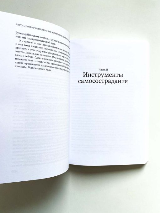 Внутренняя сила. Как заявить о себе во весь голос и научиться отстаивать свои интересы - Image 7