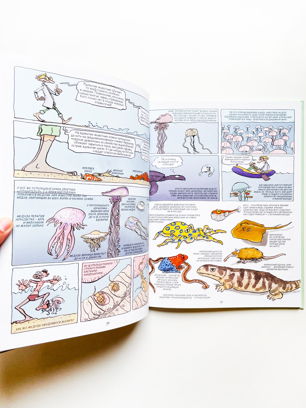 Вредные или полезные? Животные с дурной репутацией - Image 2