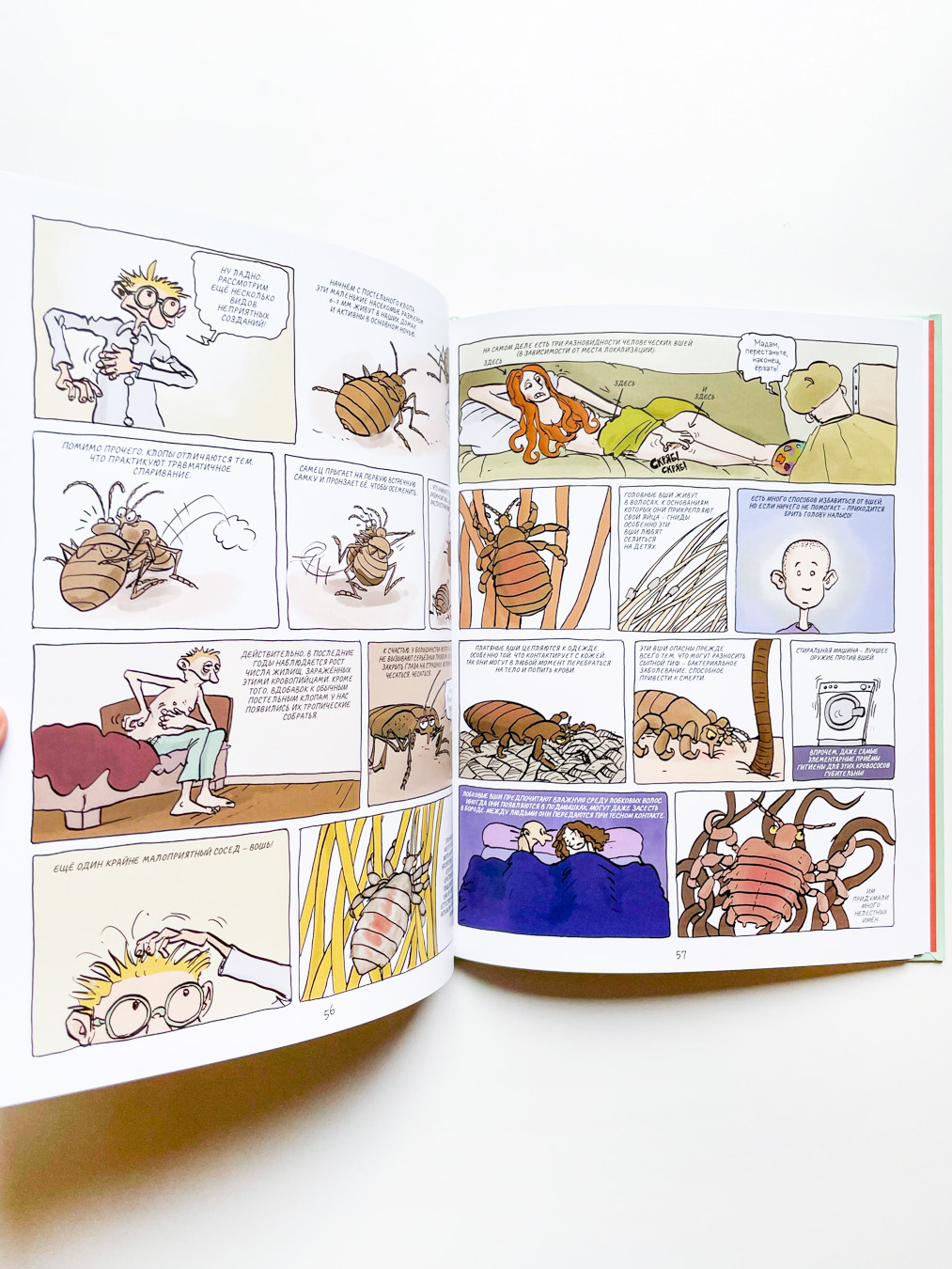 Вредные или полезные? Животные с дурной репутацией - Image 3