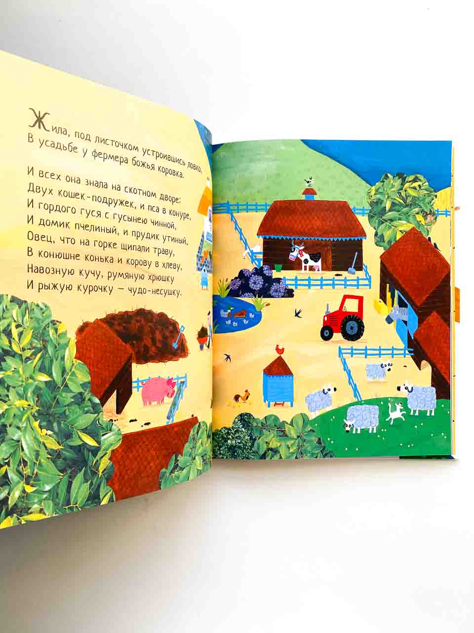 Все уловки божьей коровки - Image 6