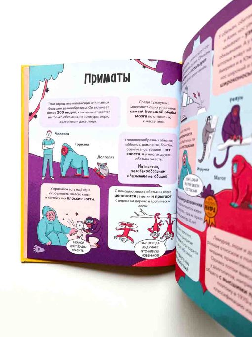 Звери. От броненосца до зебры. Самые невероятные факты, рекорды и достижения - Image 4