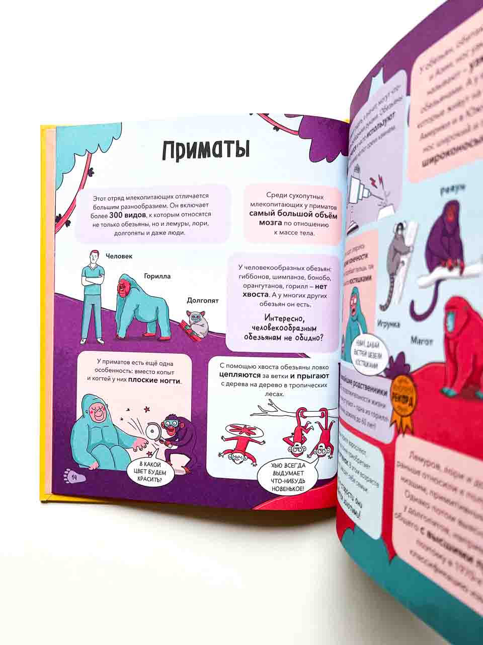 Звери. От броненосца до зебры. Самые невероятные факты, рекорды и достижения - Image 4