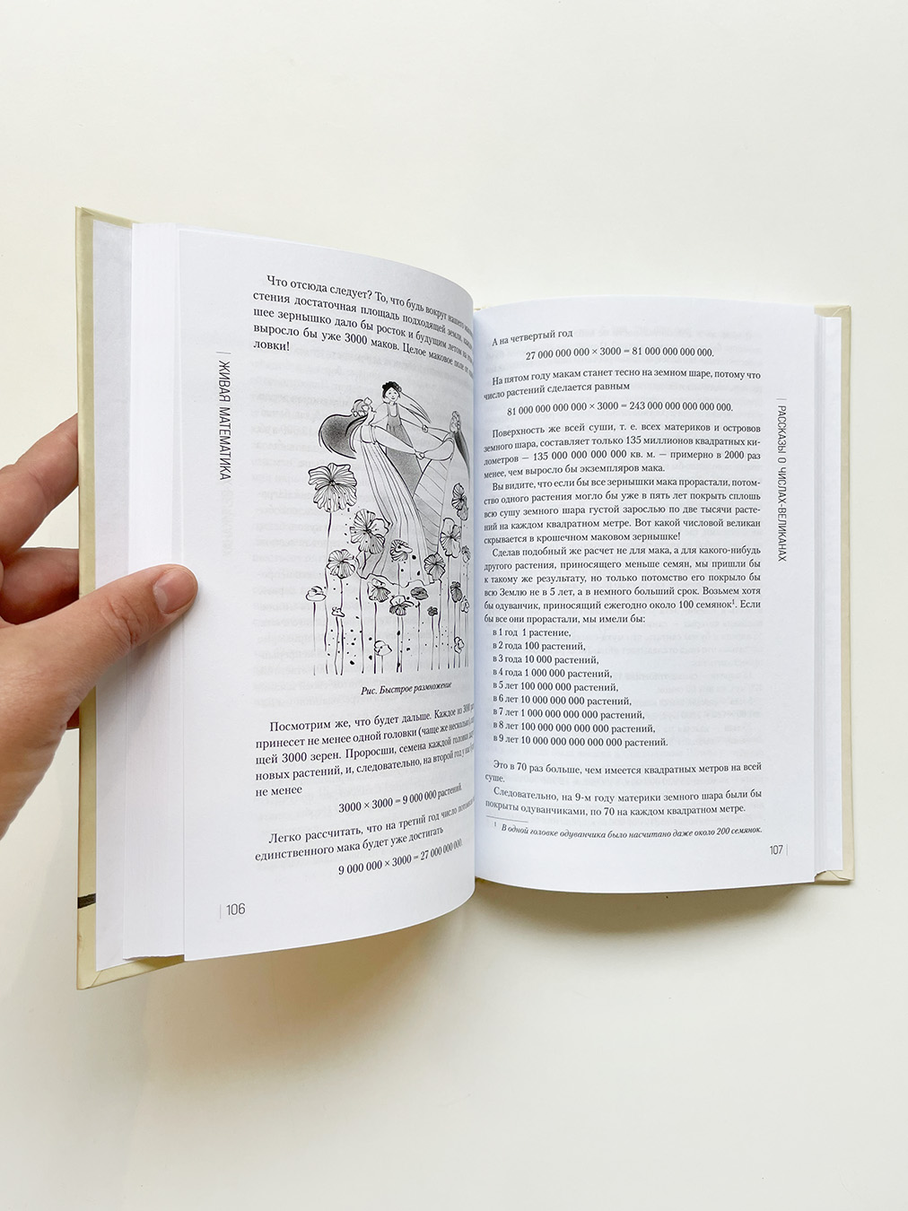 Живая математика - Image 6