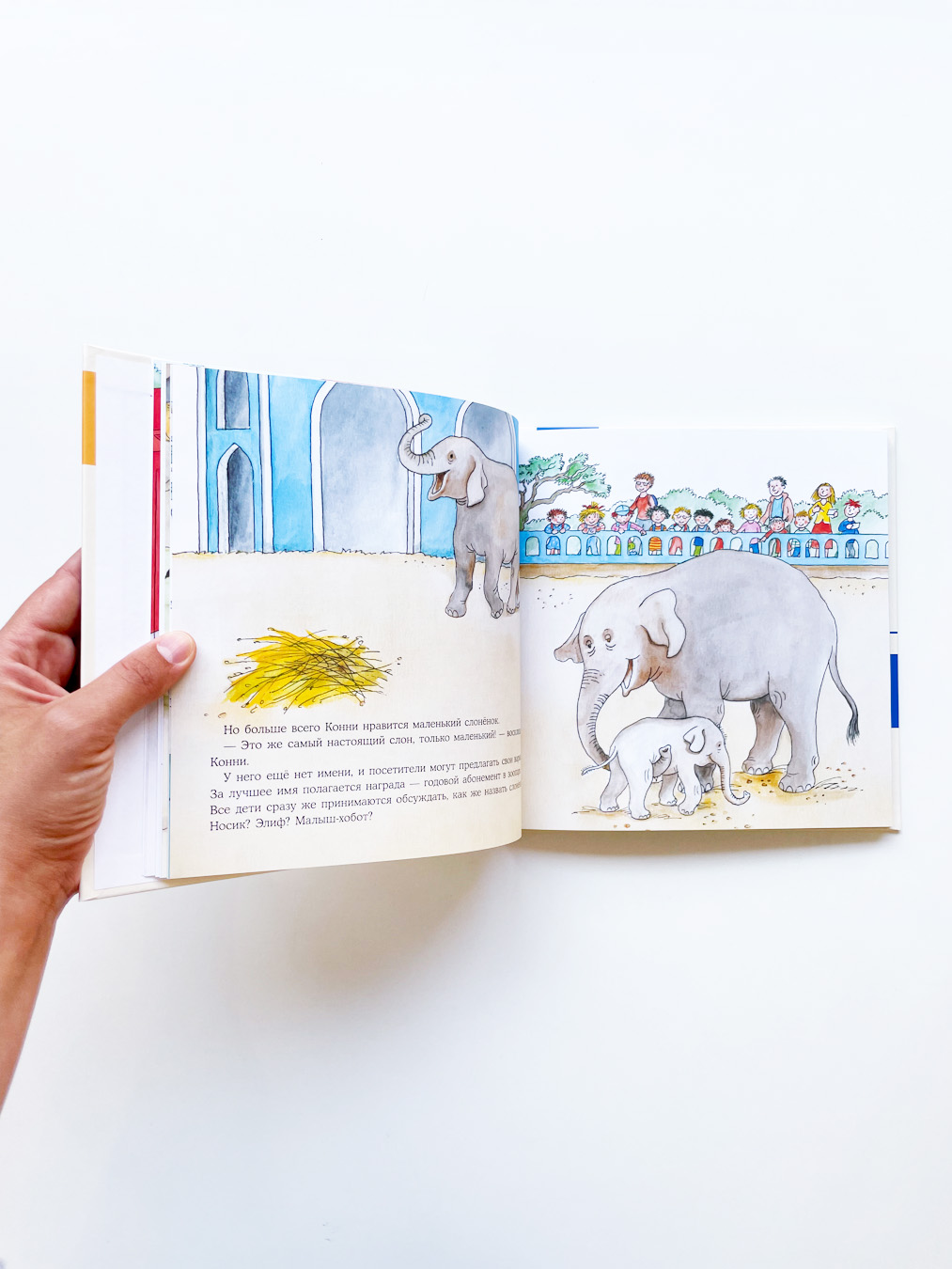 Животные. Большая книга приключений Конни - Image 5