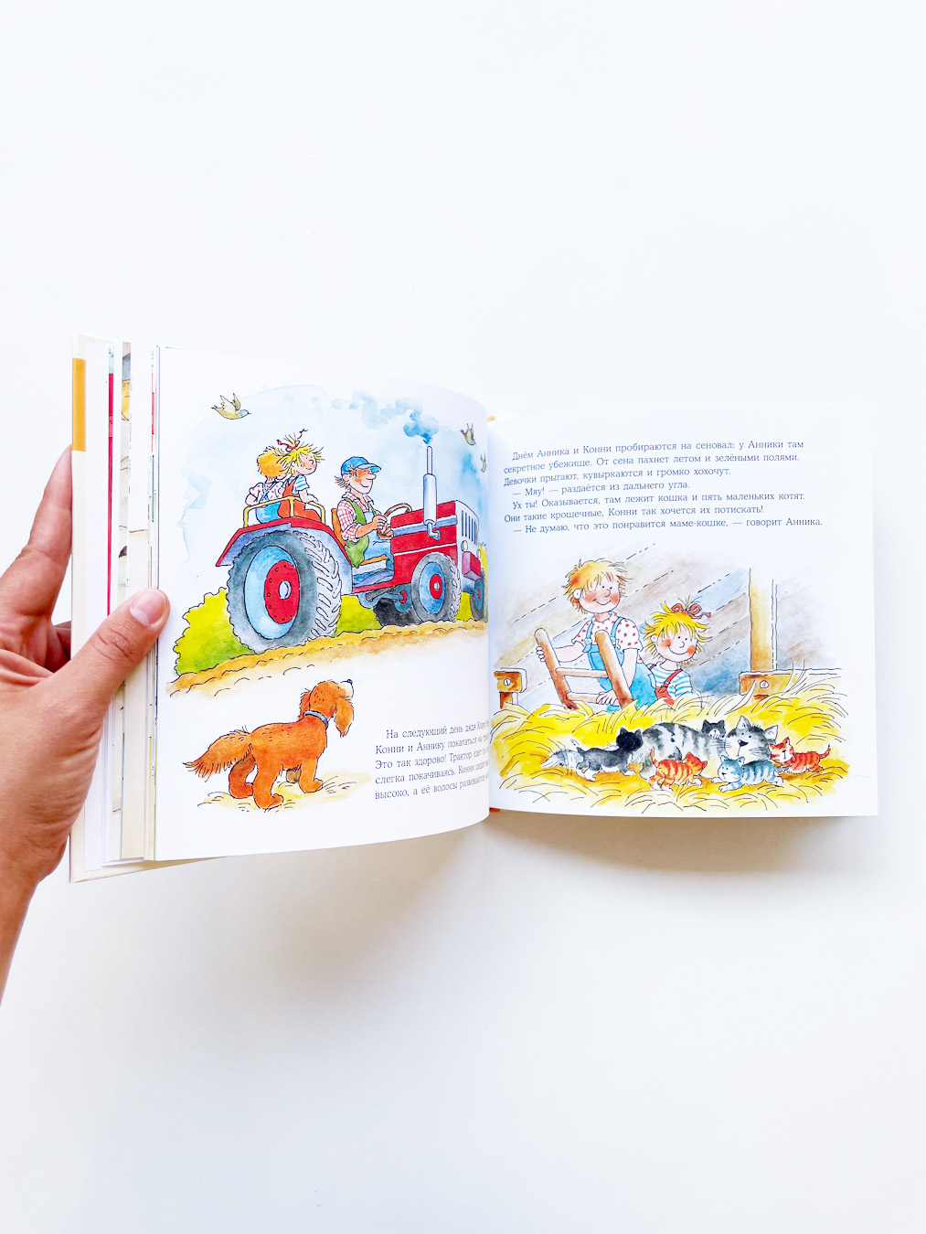 Животные. Большая книга приключений Конни - Image 4